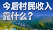 习近平的民生之问|“今后村民收入靠什么?” 习近平的民生之问|“今后村民收入靠什么?”