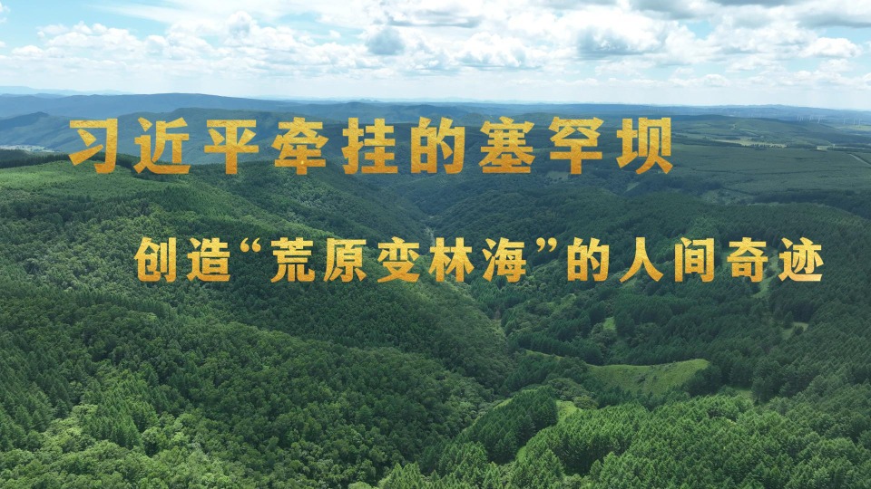 习近平牵挂的塞罕坝 创造“荒原变林海”的人间奇迹