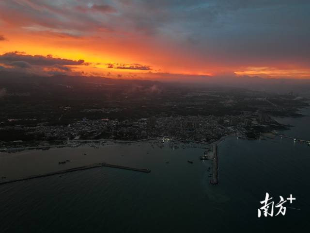 海鲜到港！南海开渔后第一批海鲜来了