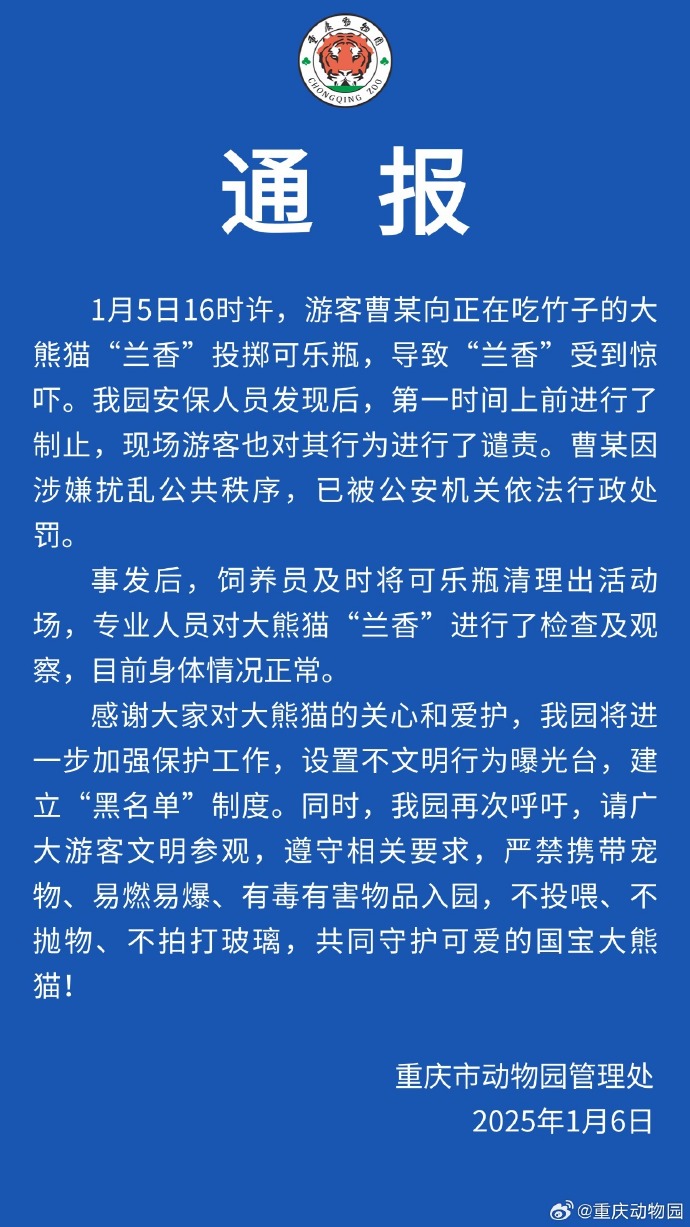 重慶動物園：游客向大熊貓扔可樂瓶被行政處罰