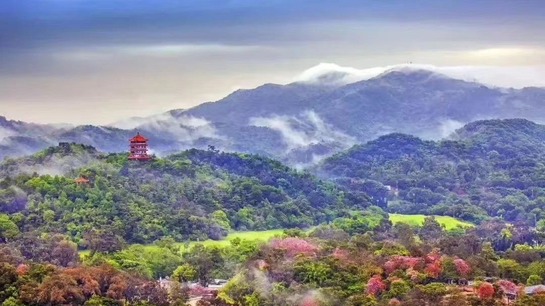 A guide for hiking spots in Guangzhou for Chongyang Festival