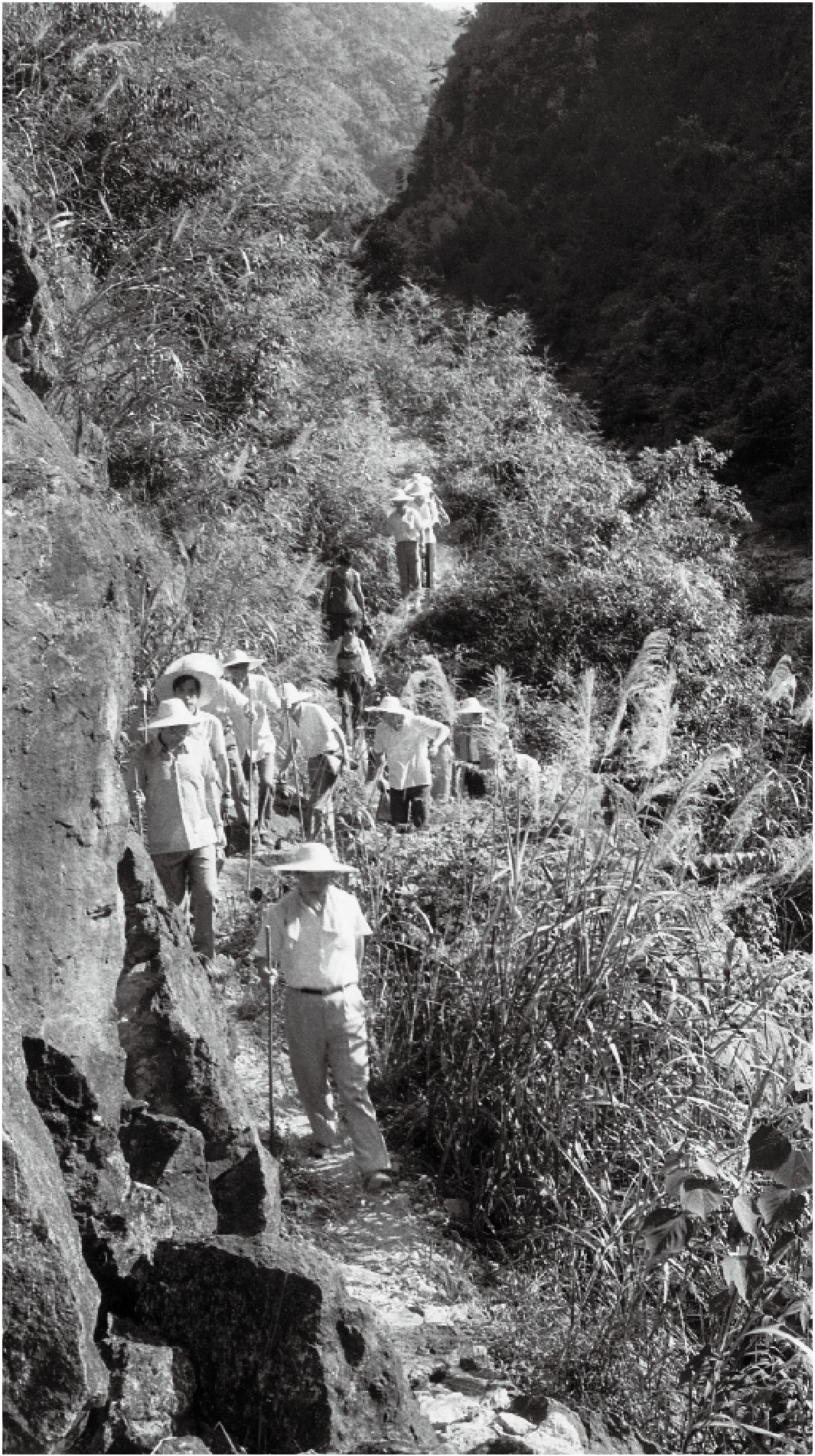 1989年7月,习近平一行到寿宁县下党乡调研。(图片来源:《习近平与大学生朋友们》)