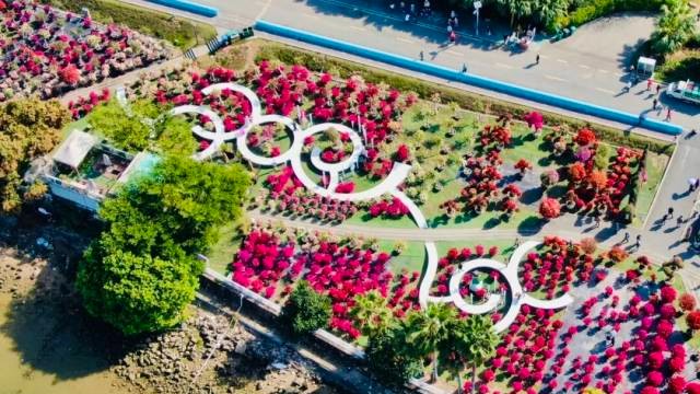 2025 Zhongshan Flower & Tree Industry Conference to open on Oct 31