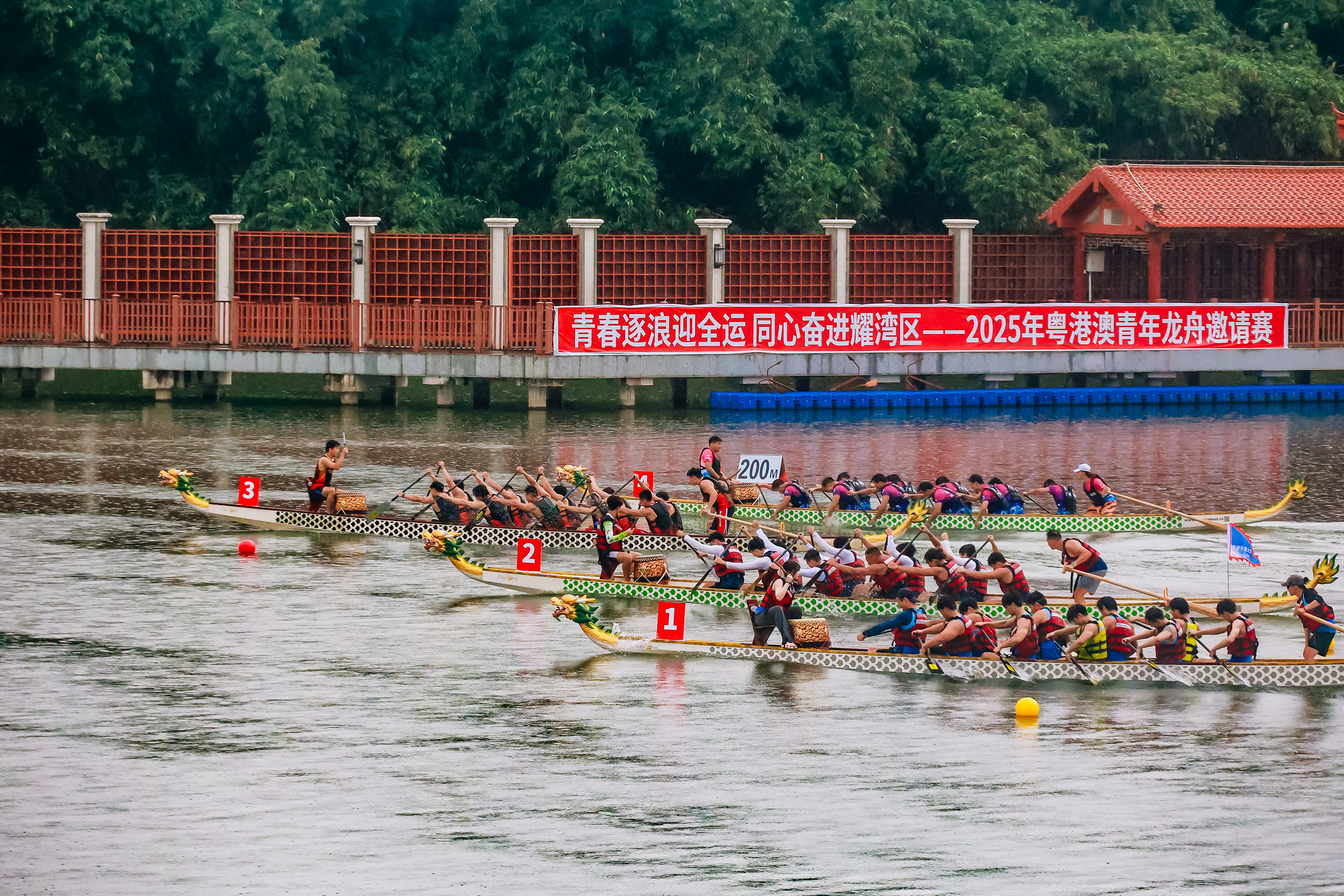 2025年粤港澳青年龙舟邀请赛在佛山大学举行。