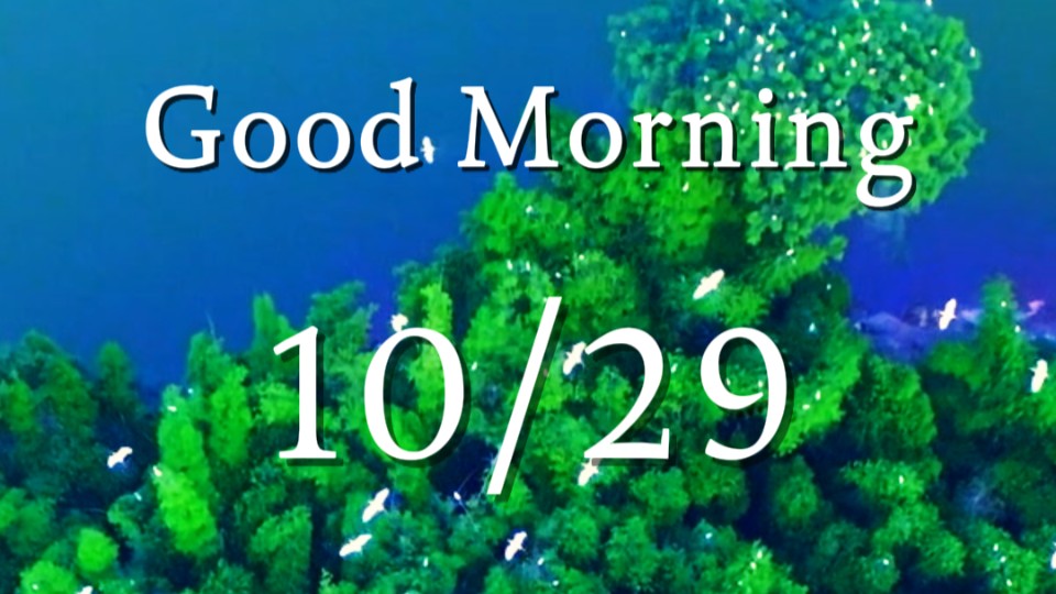 Double Ninth Festival: wishing you health and peace year after year