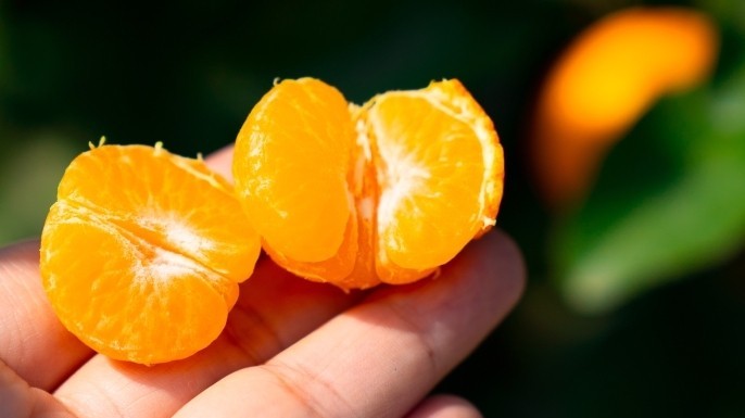 最是橙黄橘绿时！广东橘橙柚次第上新