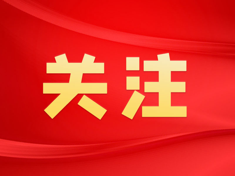 敲黑板!关键词看党的二十届四中全会公报