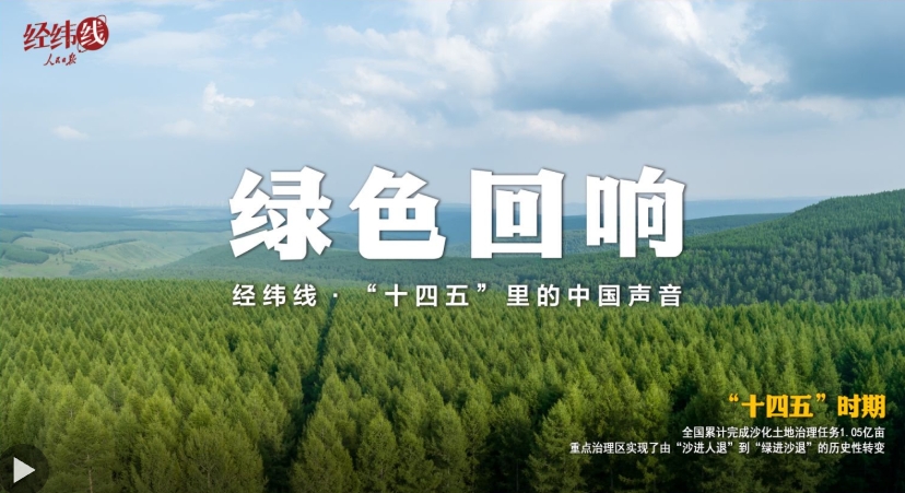 经纬线·绿色回响