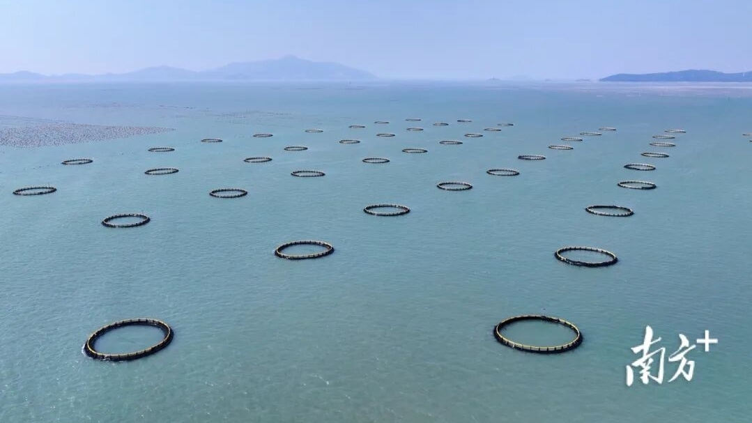 事关现代化海洋牧场建设，这场全省大会作了这些部署