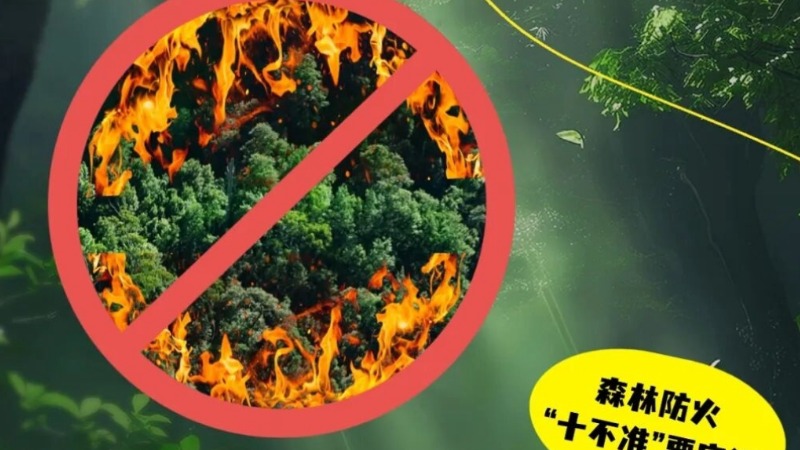 森林防火莫大意 安全知识记心间