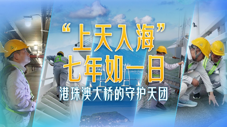 “上天入海”七年如一日——港珠澳大桥的守护天团