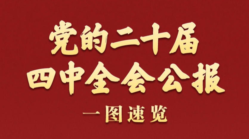学习新语｜党的二十届四中全会公报一图速览