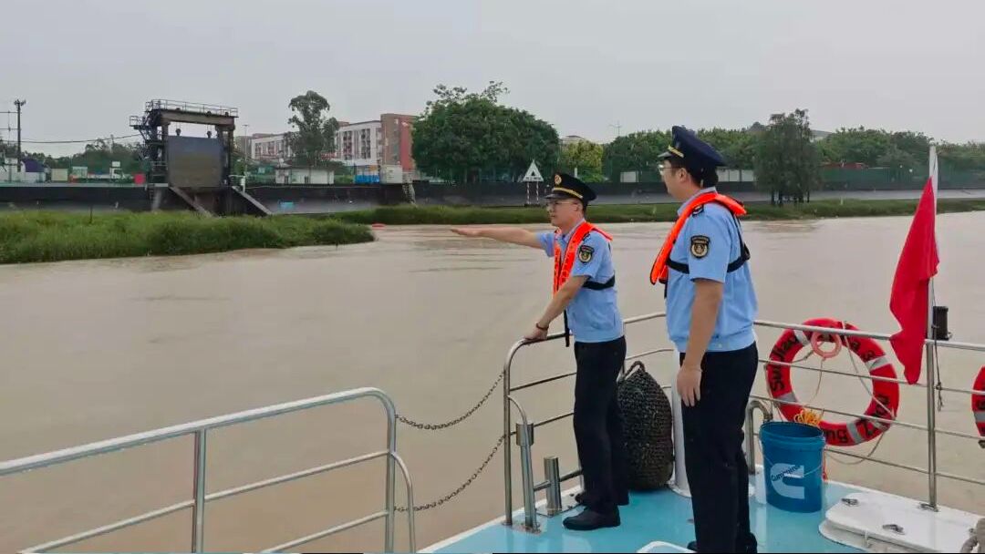 联动发力，精准打击这类违法行为！