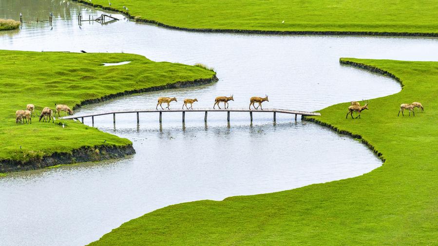 Paysages d'automne en Chine