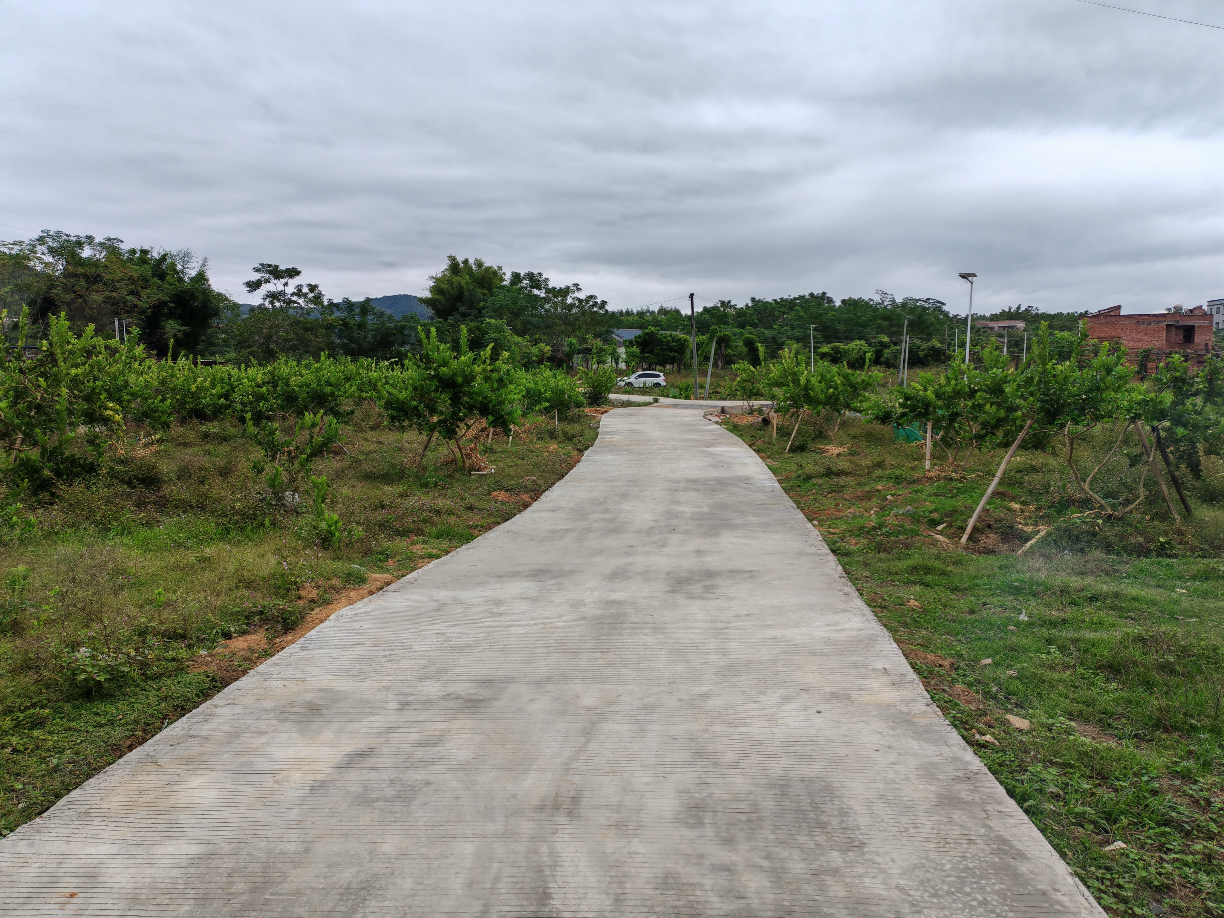 佛山帮扶为罗定市䓣塘镇添新景拓财路