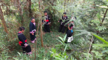 清远连南:“瑶老”人民调解员,让矛盾化解在田间地头 | 新时代广东“枫桥经验”系列报道⑲ 清远连南:“瑶老”人民调解员,让矛盾化解在田间地头 | 新时代广东“枫桥经验”系列报道⑲