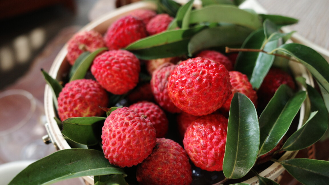 Guangdong litchi hits Singapore today for more export opportunities