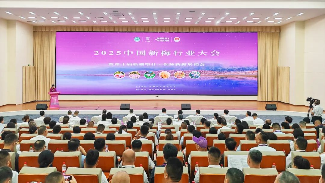 2025中国新梅行业大会暨第十届新疆喀什·伽师新梅展销会开幕