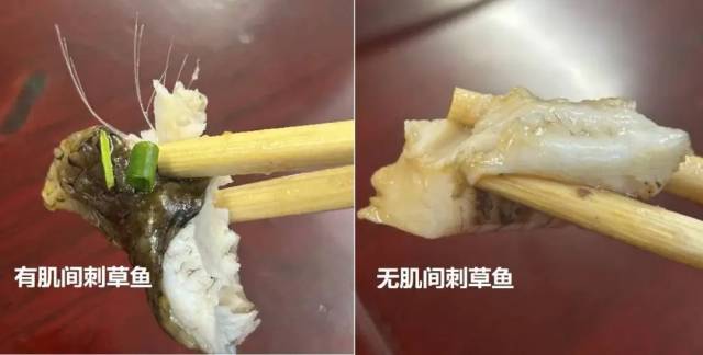 凯蒂与阿汤哥仳离遭到媒体两极化批评