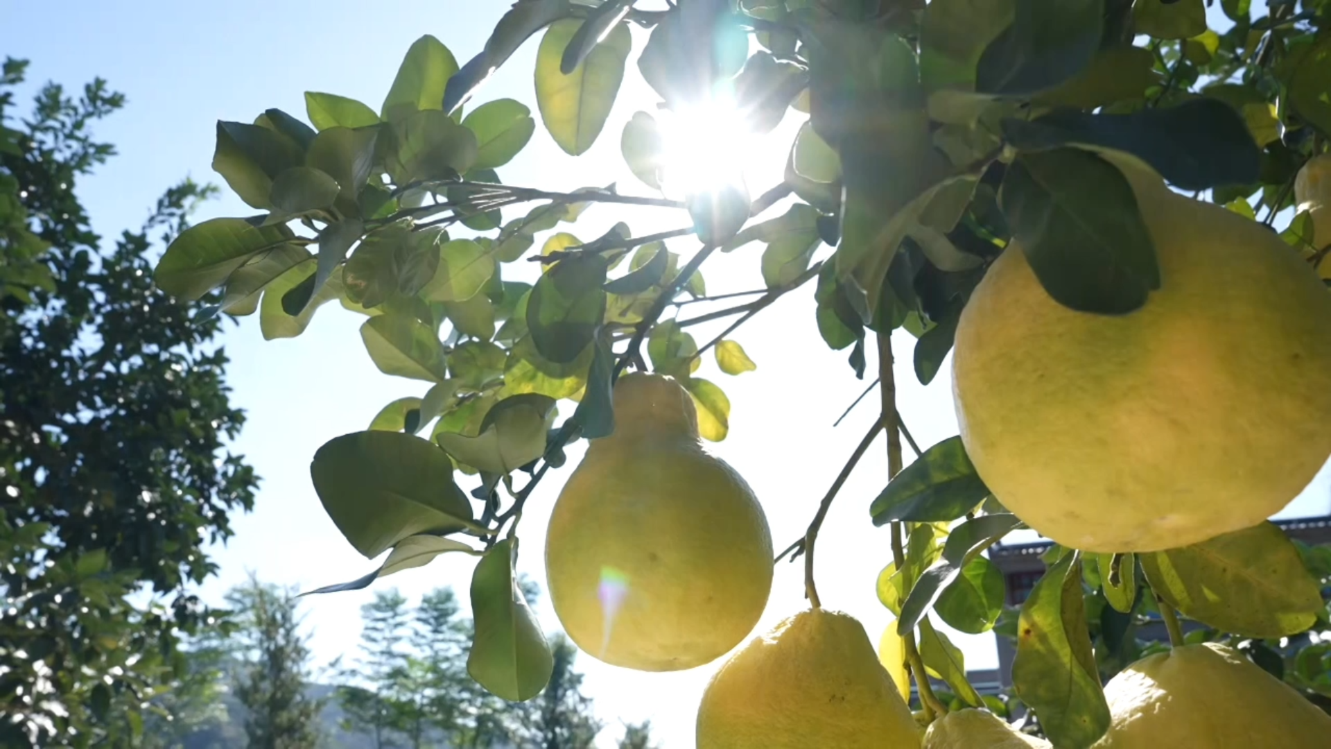 百千万·山海间｜五口人，50年