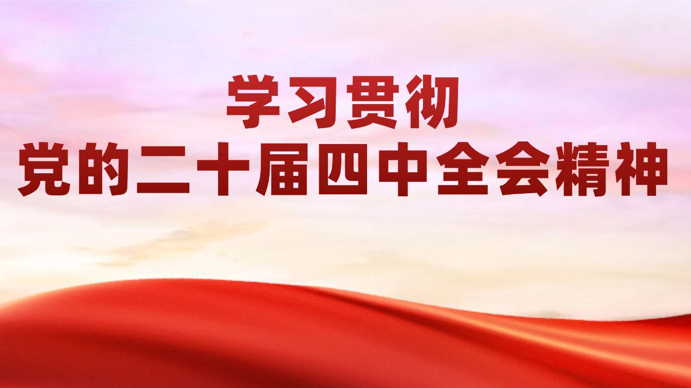 谌贻琴：加大保障和改善民生力度