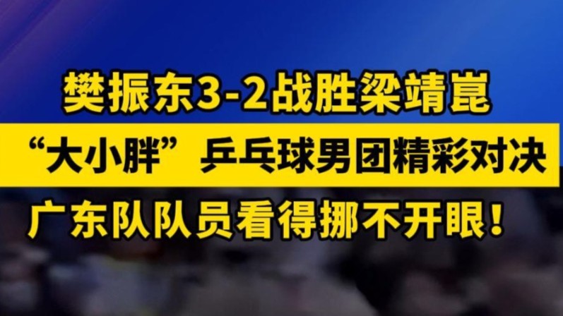 樊振东3-2战胜梁靖崑，“大小胖”乒乓球男团精彩对决！广东队队员看得挪不开眼