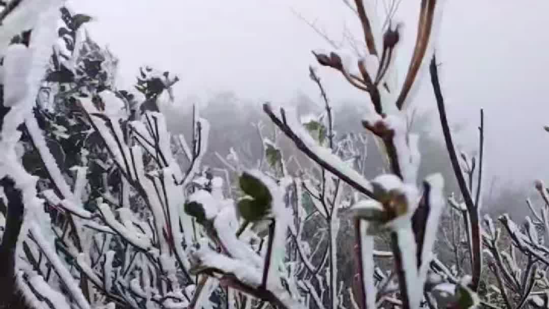 蓝色预警！新一股寒潮发货在即，或于13日直抵华南