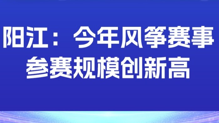 阳江：今年风筝赛事参赛规模创新高
