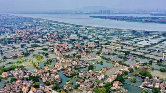 这一工程，总书记要求广东持续抓下去