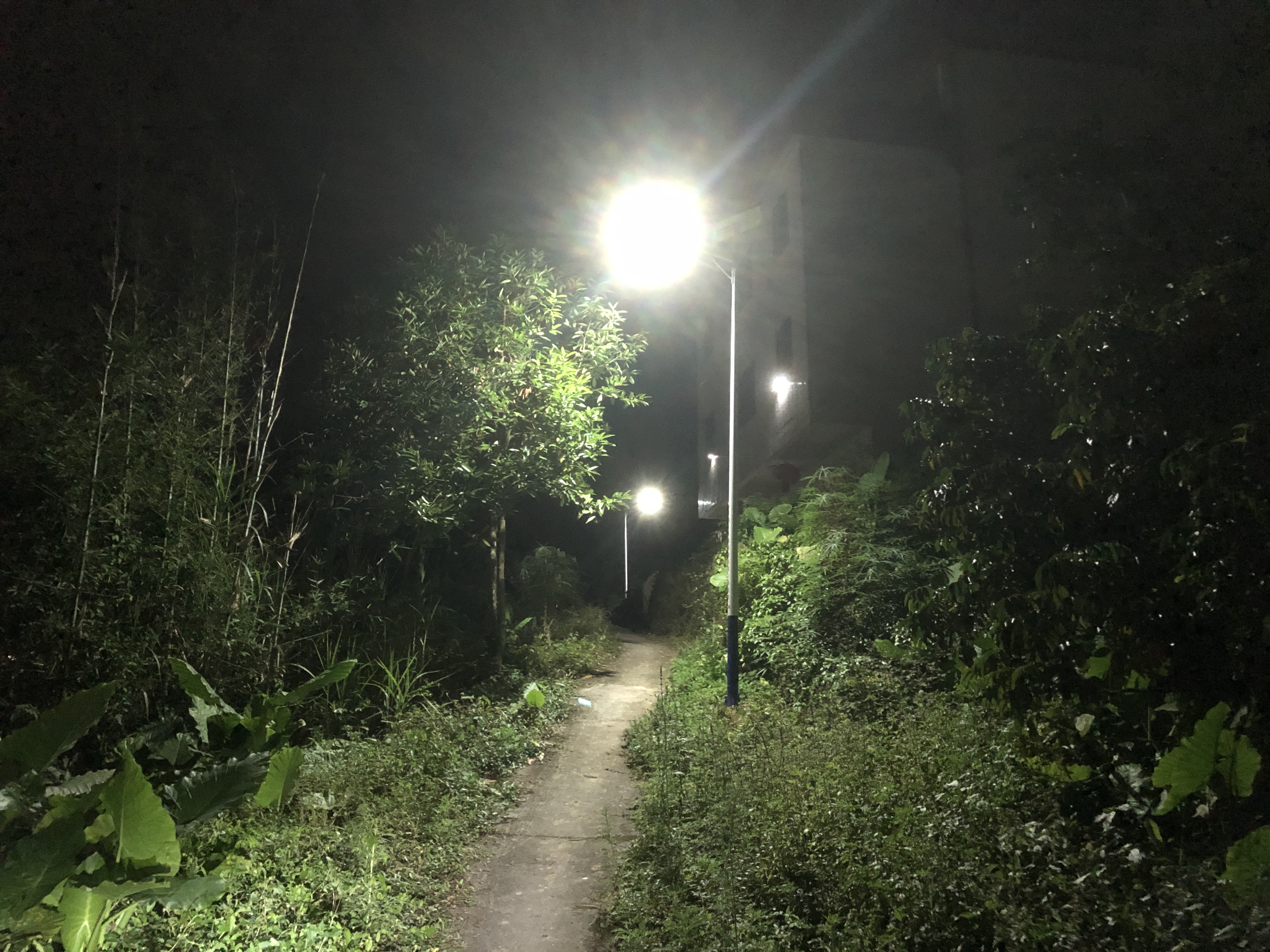 郁南县千官镇大全村：点亮乡村“暖心灯”