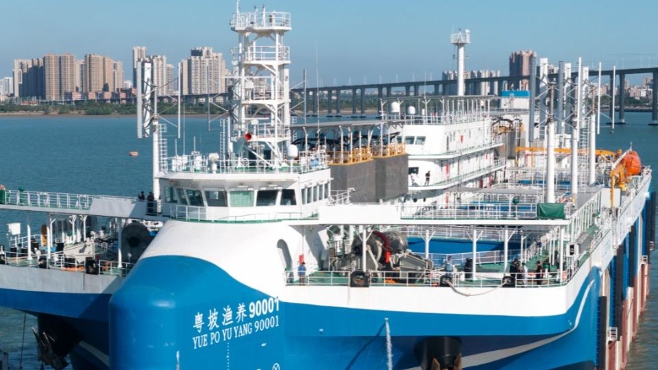 深海养鱼神器来了！一起探秘海上移动牧场“湛江湾1号”