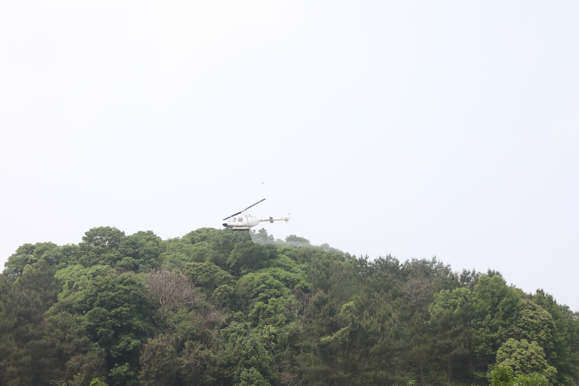 飛機(jī)施藥防治松材線蟲病