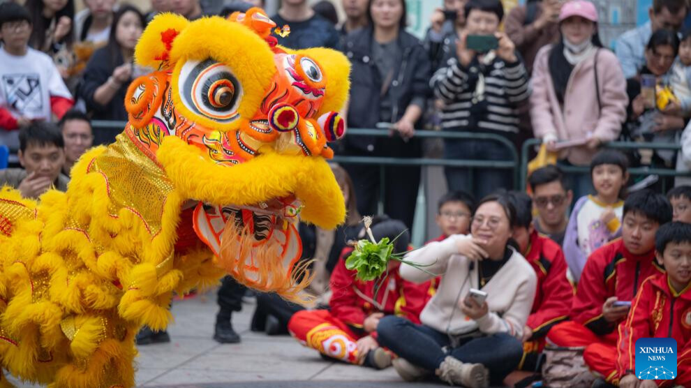 Int'l Dragon and Lion Dance Day marked in Macao