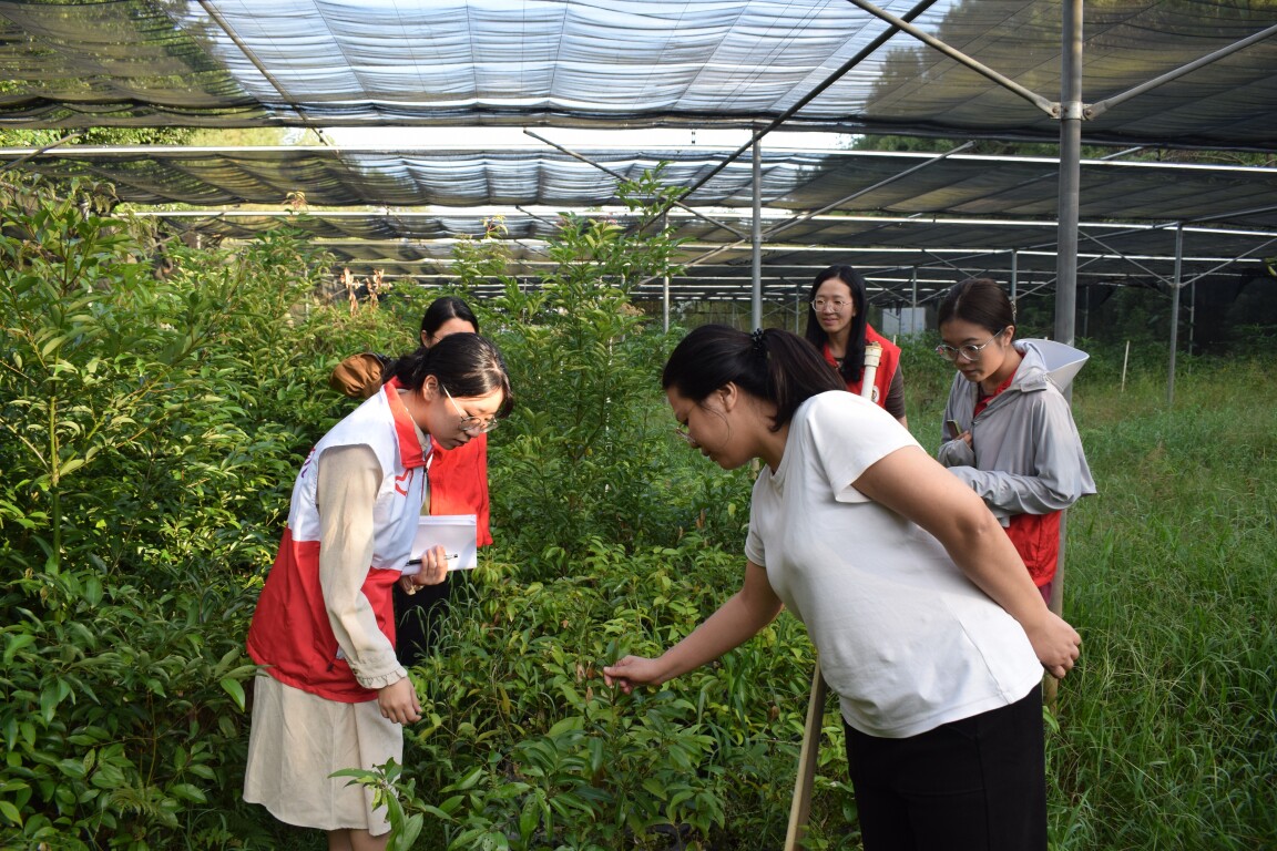 志愿者实地调研生物科技公司，探究梅州市平远县农产品产业发展模式。通讯员供图
