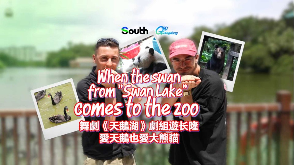 When "the Swan" from Matthew Bourne's Swan Lake comes to the zoo
