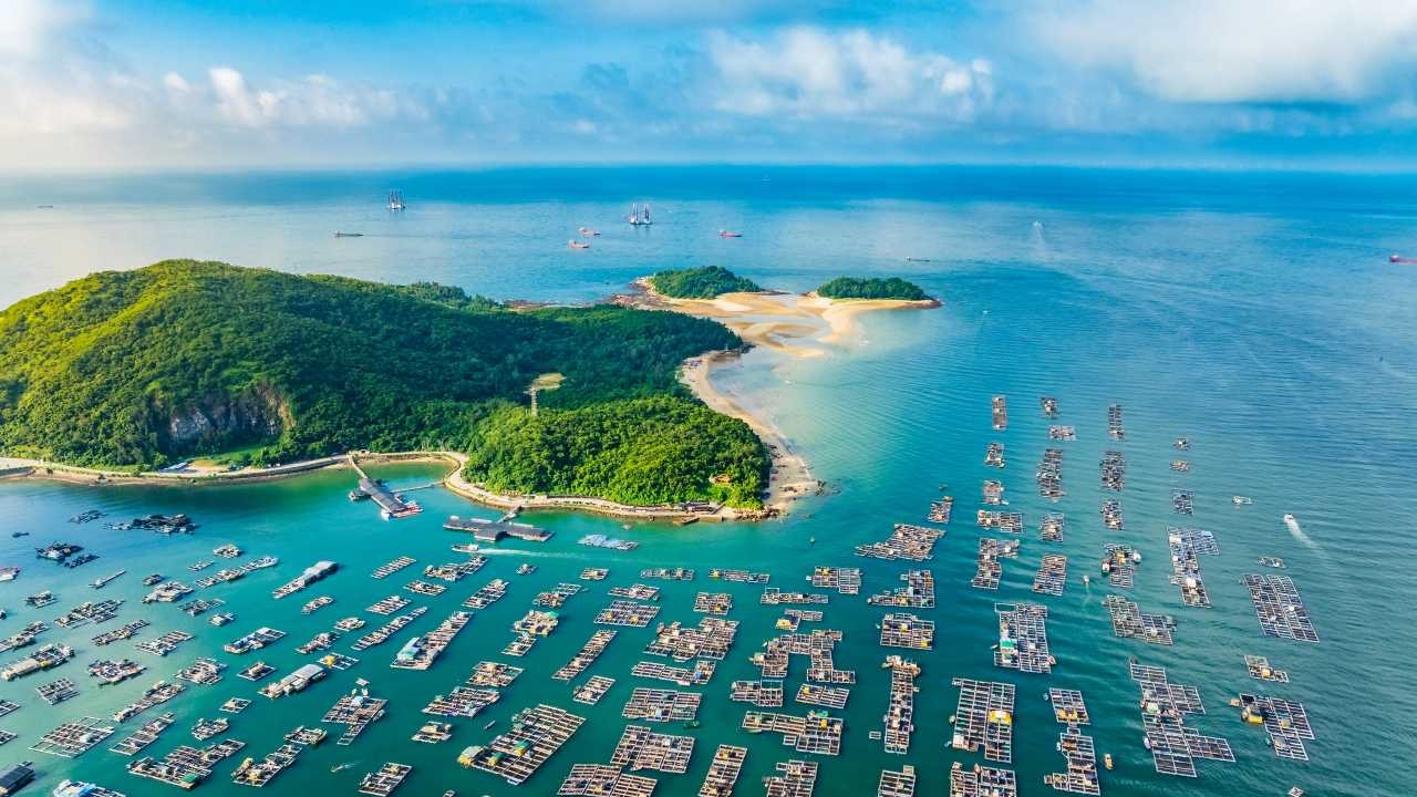 我国海洋水产品总产量已经连续36年稳居世界第一