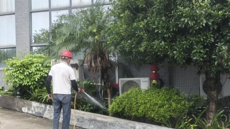 广州进入登革热流行季，这些街道需防范蚊媒传播