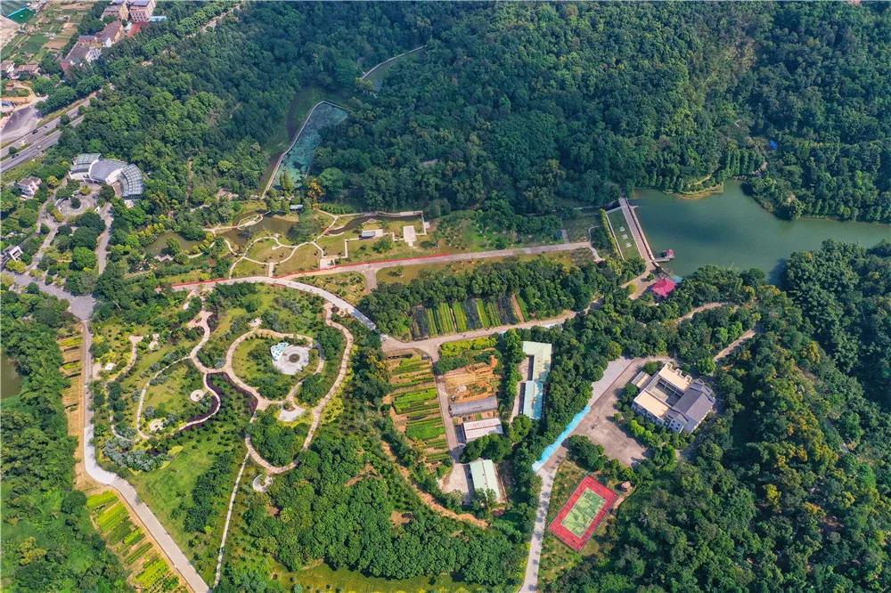 中山树木园（通讯员供图）