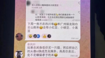 有网友将在广州知名景区组织虐猫聚会？景区：将加强安保