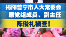 普宁市人大常委会原党组成员、副主任陈俊礼被查