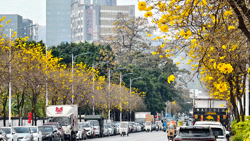 Cold and dampness persist, rain and fog intensify in Guangdong