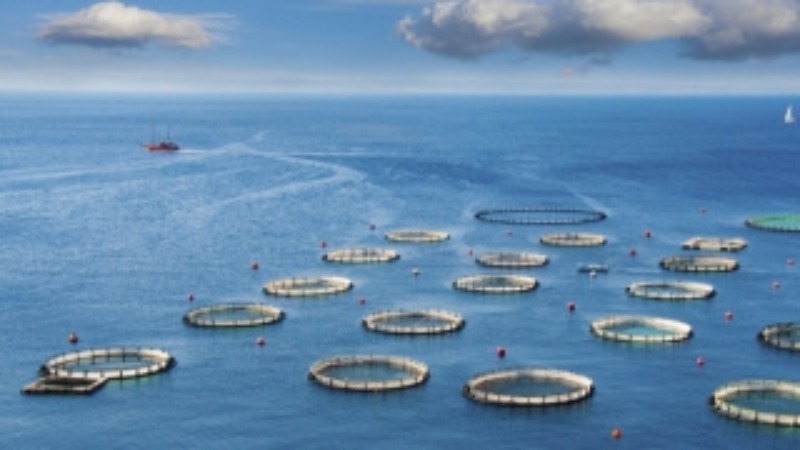 首次突破10万亿！我国海洋经济总量再上新台阶