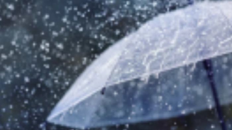 台风“蝴蝶”将登陆海南，广东北部和中西部沿海有大雨或暴雨