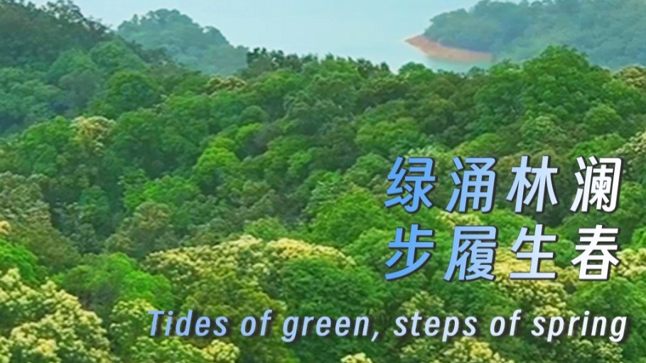 Tides of green, steps of spring