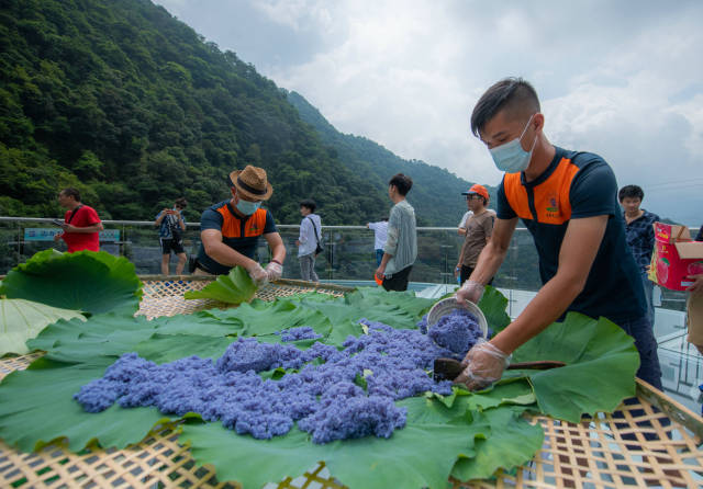 八色糯米饭是清远市当地少数民族端午的传统风味小吃。 八色糯米饭是清远市当地少数民族端午的传统风味小吃。
