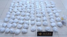 港珠澳大桥海关查获非法入境濒危石珊瑚99株 港珠澳大桥海关查获非法入境濒危石珊瑚99株
