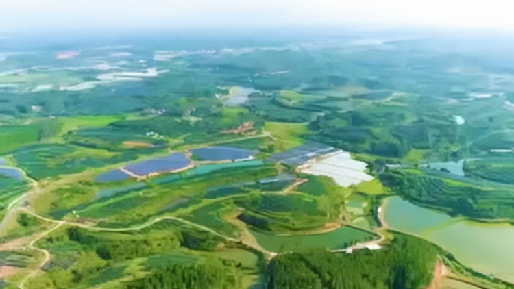 科技特派员来啦！这所大学奔赴河源助力灯塔盆地创建国家级农高区