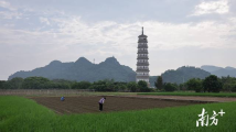 清远党群同心打赢“龙舟水”叠加特大洪水硬仗 在洪水中筑起“红色堤坝” 清远党群同心打赢“龙舟水”叠加特大洪水硬仗 在洪水中筑起“红色堤坝”