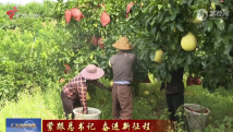 广东经济24小时:中流击水 奋楫者进 广东经济24小时:中流击水 奋楫者进