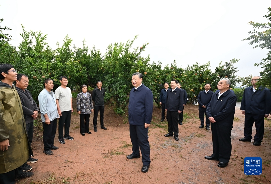 9月24日，中共中央总书记、国家主席、中央军委主席习近平在浙江考察结束返京途中，来到山东省枣庄市考察。这是习近平在位于峄城区的冠世榴园石榴种植园同老乡们亲切交流。新华社记者谢环驰摄